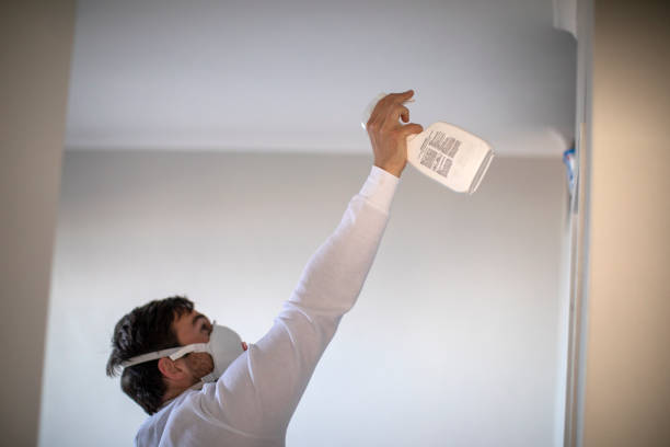 Best Preventive Mold Services in Camp Springs, MD