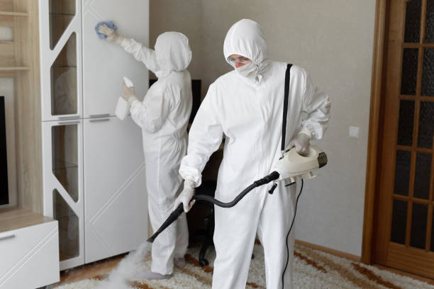 Best White Mold Remediation in Camp Springs, MD